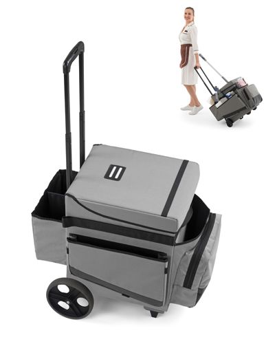 Carrinho de Mobilidade 