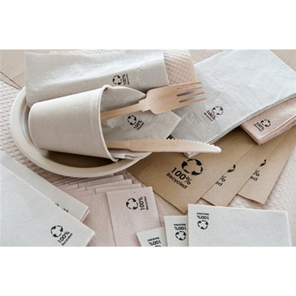 Guardanapo Ponto Ponto Kraft Eco Natur 33X33 - 16 X 100 = 1600 Fls